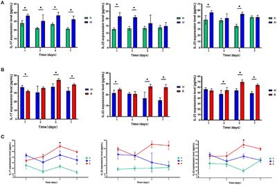 Boric Acid Solution Inhibits Candida albicans Infections in Mouse Skin via the IL-23/Th17 Axis